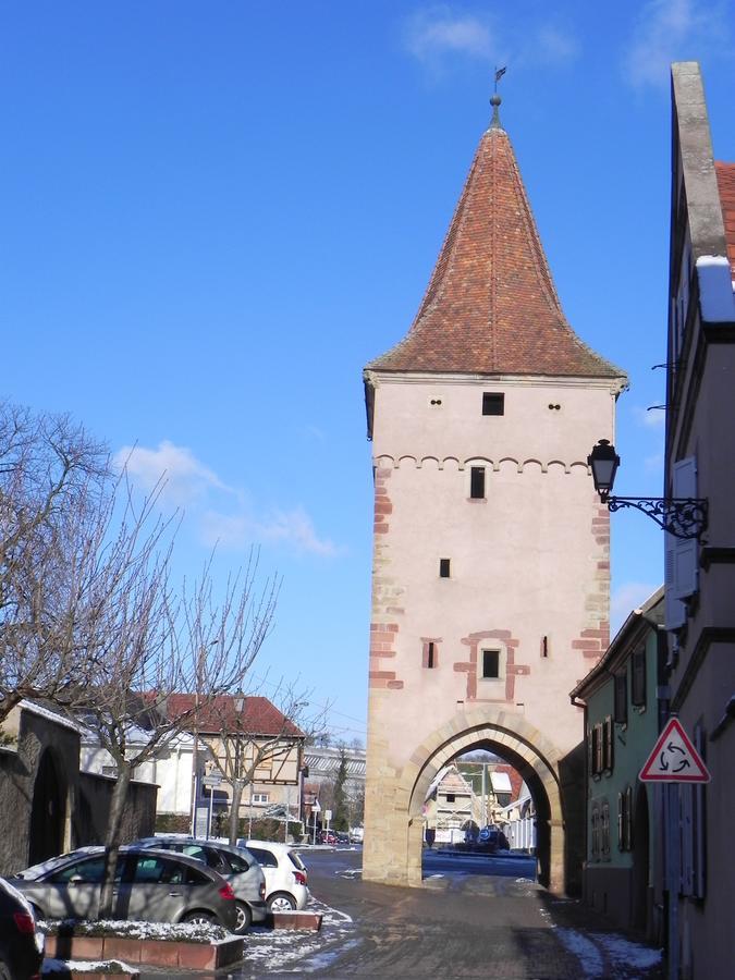 Nid De Cigognes Rosheim